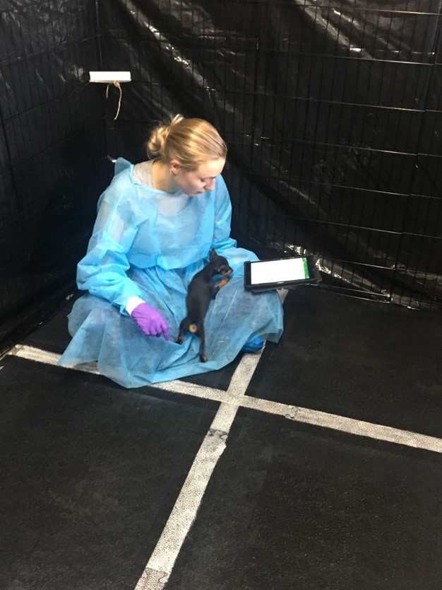 Aynsley research photo